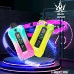 Bang Beach 20000 Puffs